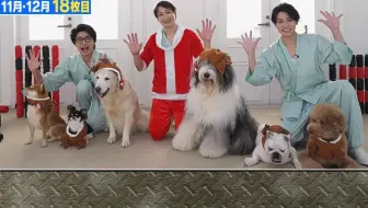 Kis My Ft2 Kisdoki 第101話北山 宮田 二階堂を監禁して卵を食べさせまくる 哔哩哔哩 Bilibili