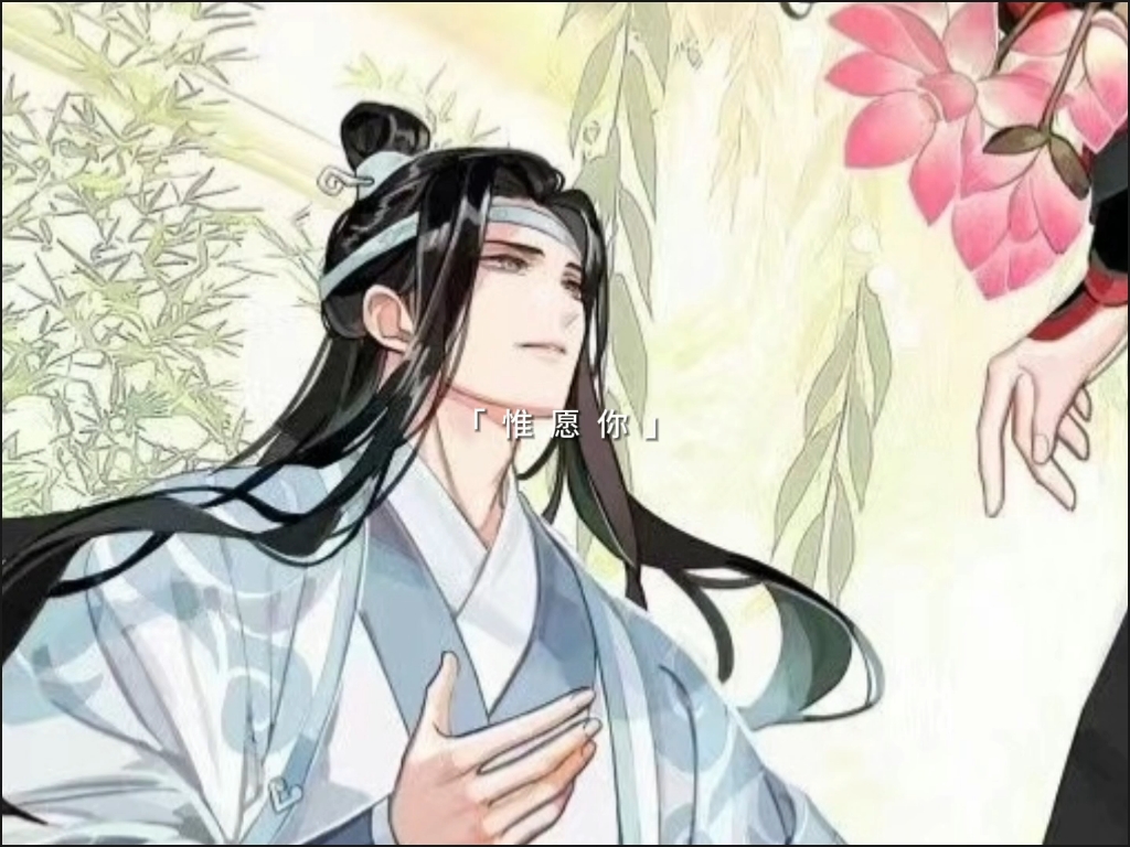 #魔道祖师#蓝湛魏无羡哔哩哔哩bilibili