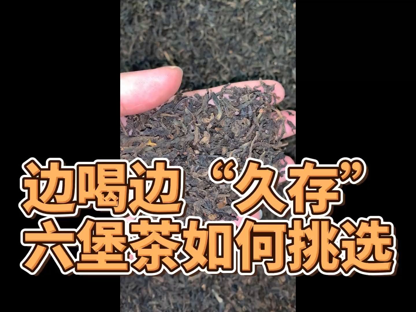 六堡茶邊喝邊