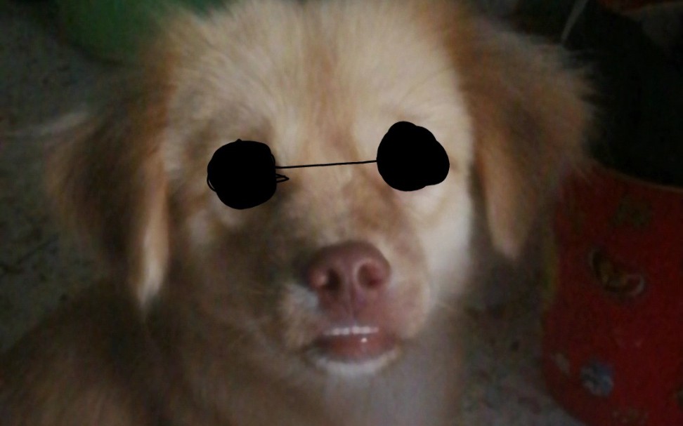 马克今天吃战斧洋芋