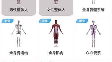 系统解剖学app 维萨里3D解剖 超好用!哔哩哔哩bilibili