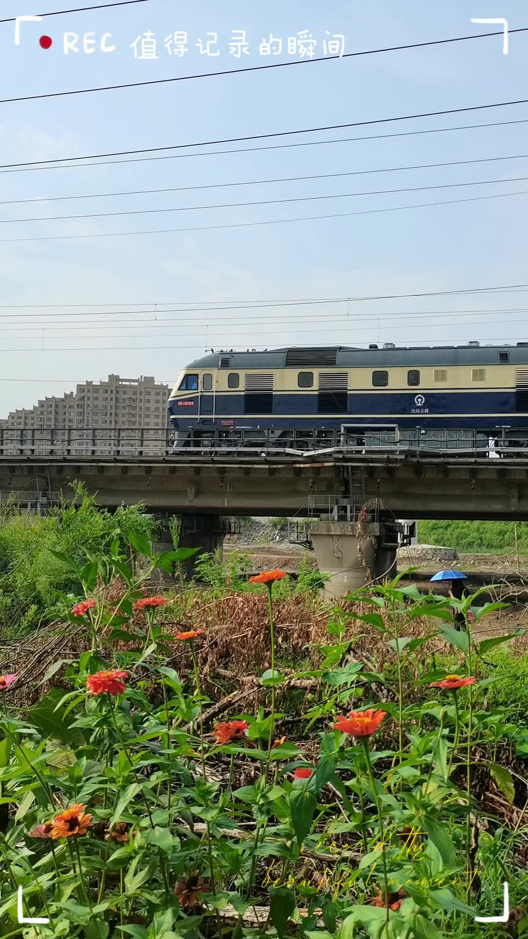 下午拍车之旅.哔哩哔哩bilibili