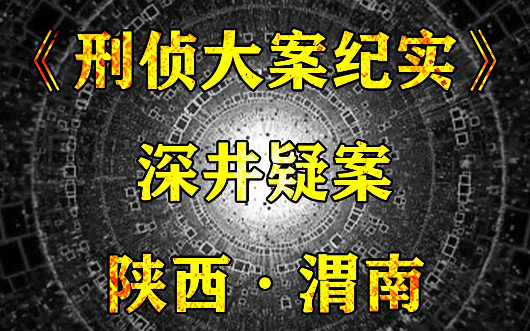 陕西渭南大案:深井中的六条腿《深井疑案》哔哩哔哩bilibili