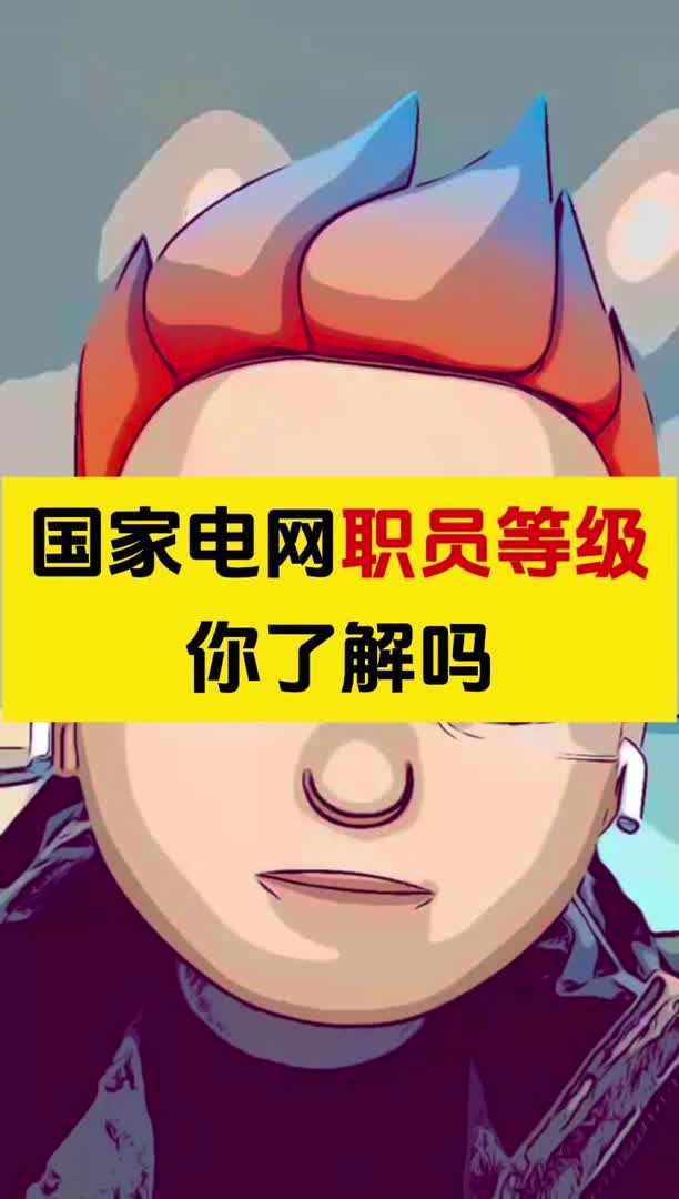 国网的职员等级你了解吗?哔哩哔哩bilibili