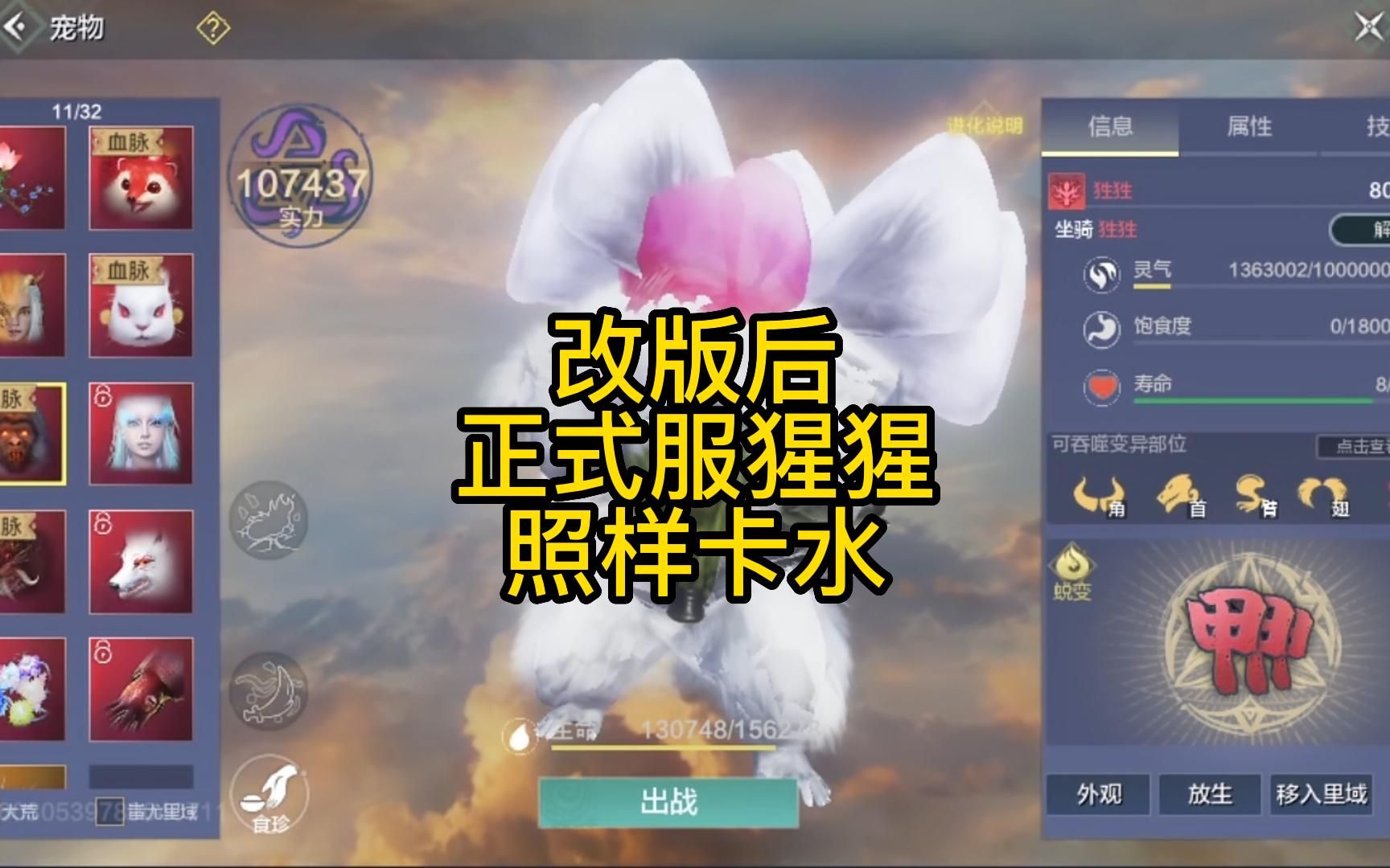 猩猩:改版后的我很强,但是依旧不影响我卡水!!手机游戏热门视频