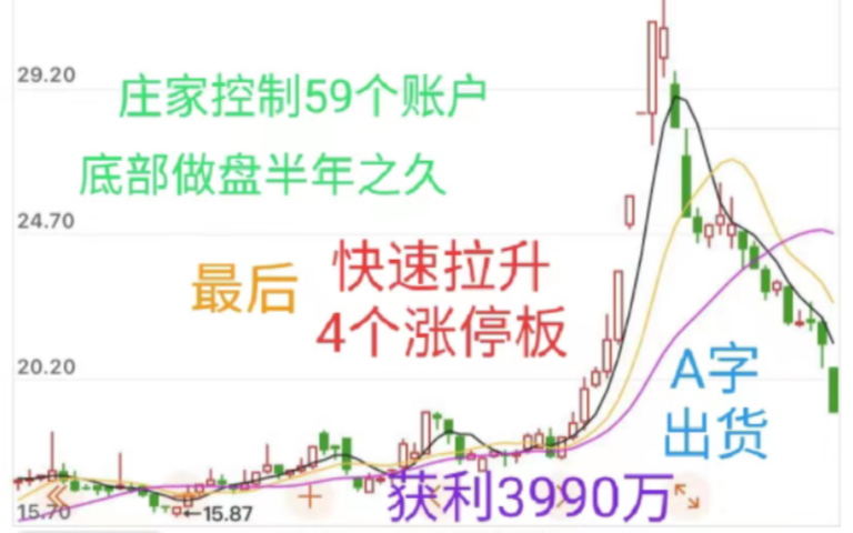 中国证监会处罚案例之庄家操纵百合花:长线庄家动用59个账户底部做盘半年之久,大幅拉升4个涨停板后出货,股价A字走势坑散户,获利3990余万元,被...