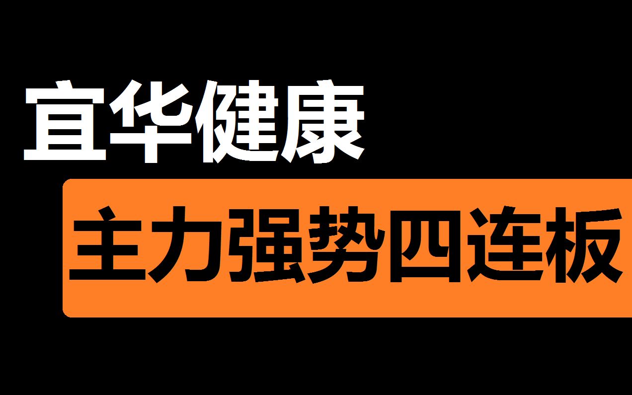 【宜华健康】控盘拉升持续增仓哔哩哔哩bilibili