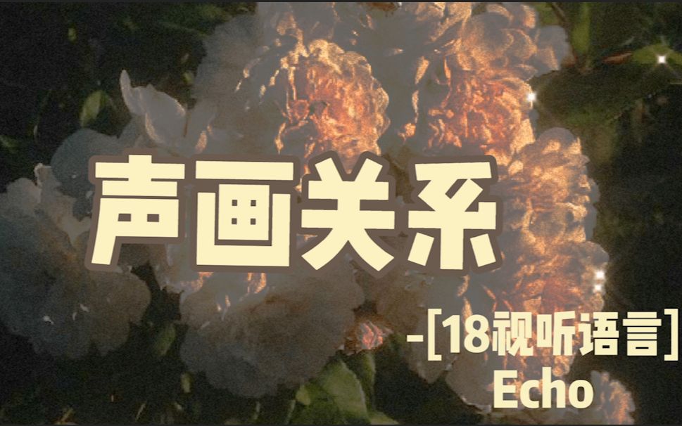 【18视听语言】声画关系——Echo哔哩哔哩bilibili