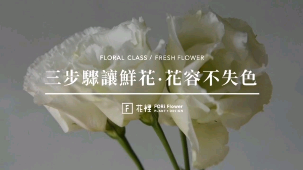 鲜花基本养护,让您的花欣赏的更久|花艺教学哔哩哔哩bilibili