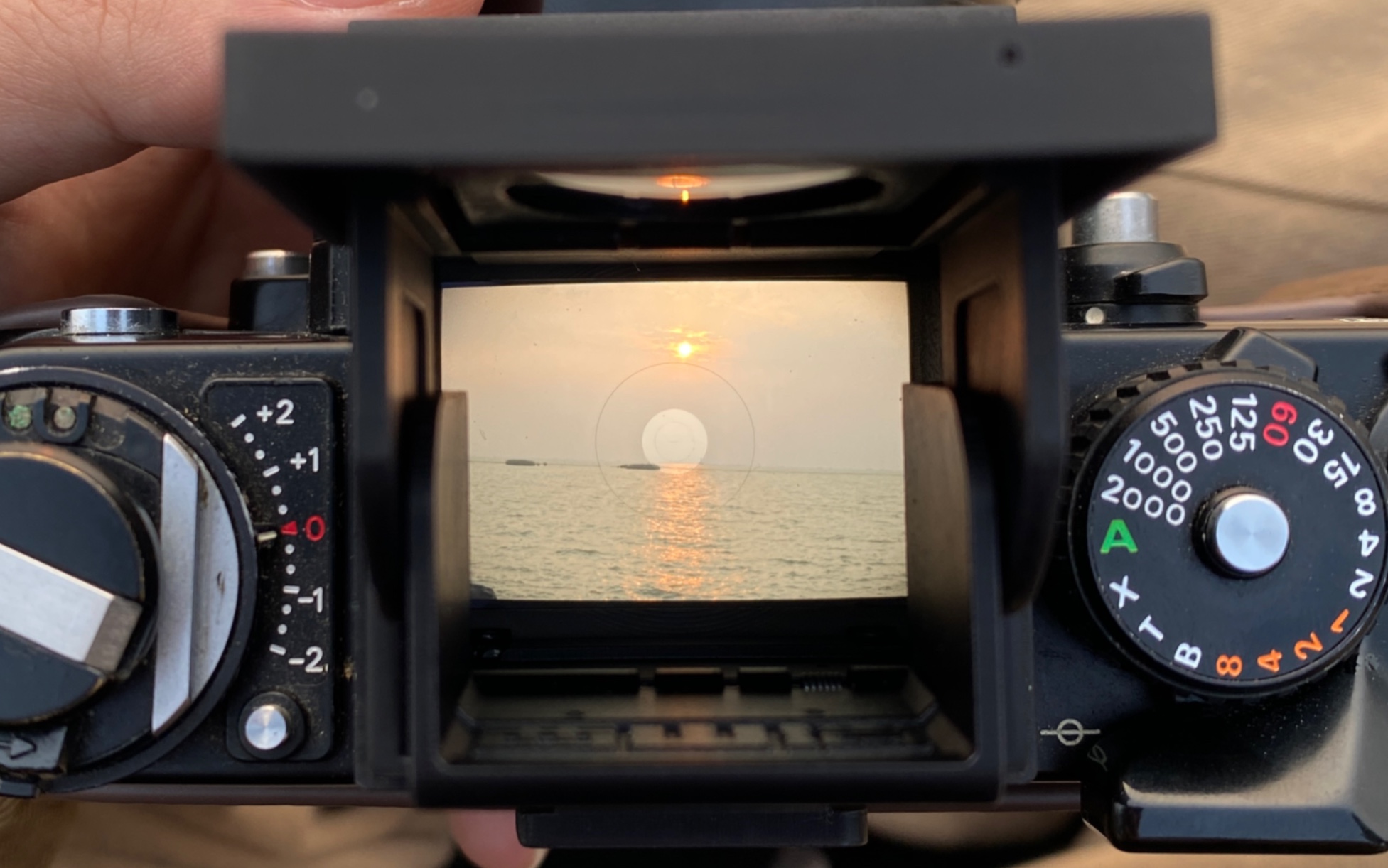 尼康f3腰平取景器里的日落
