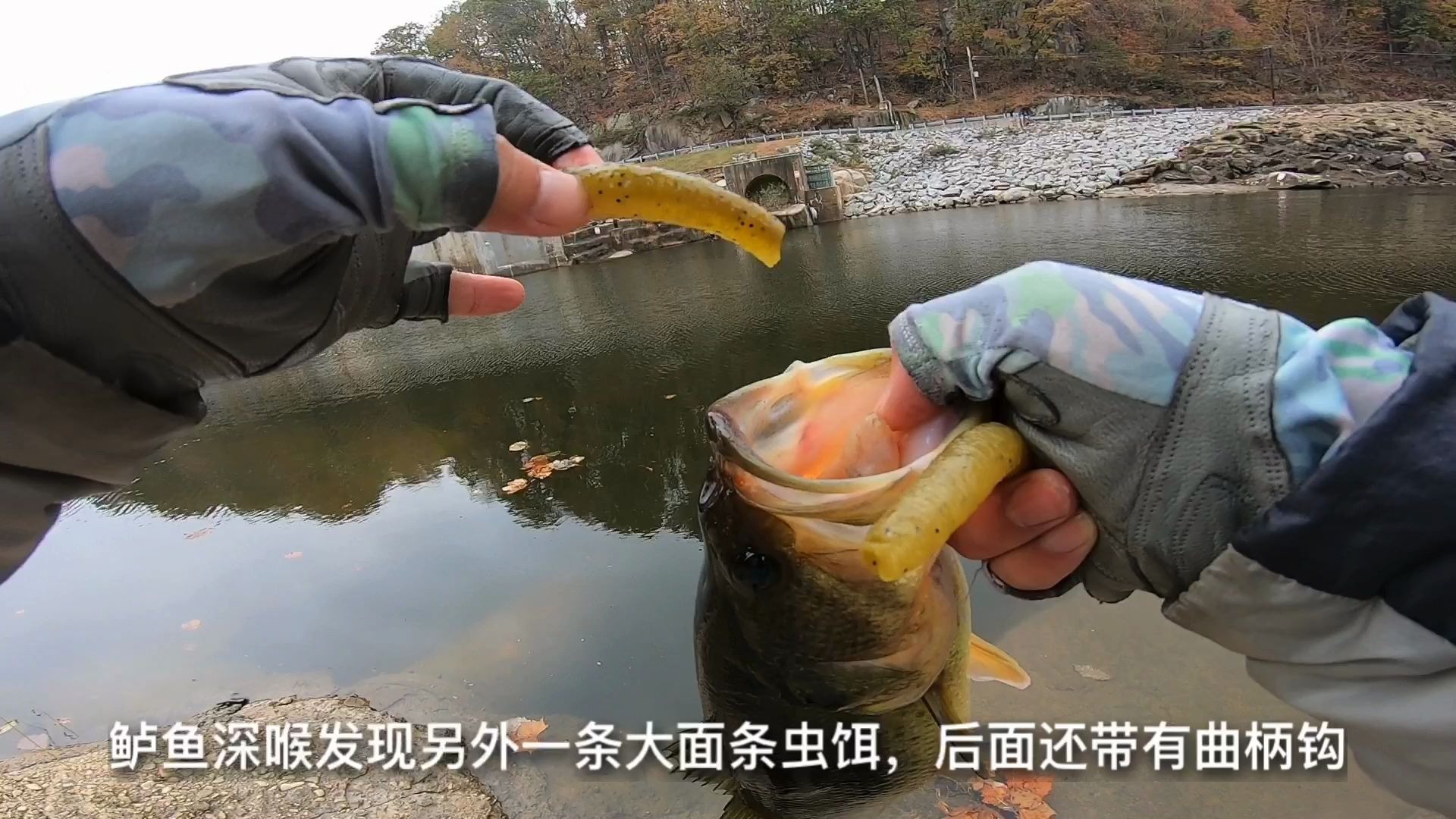 详解neko钓组擒获三斤大鲈鱼