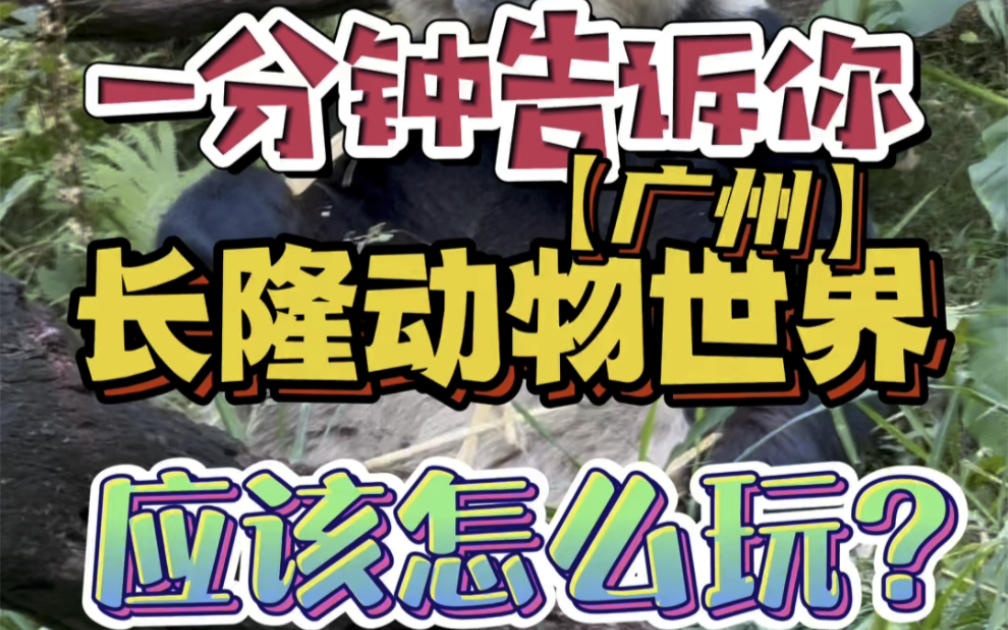 广州长隆野生动物园游玩全攻略来啦!收藏起来周末出门别错过!哔哩哔哩bilibili