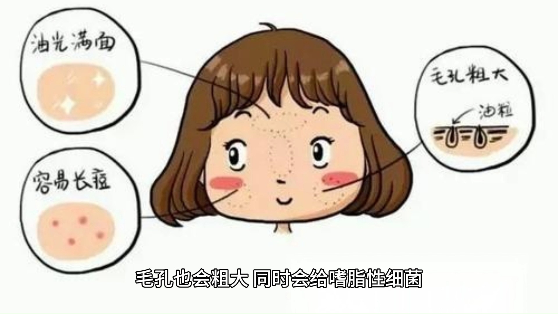 脸部的油从哪里来?