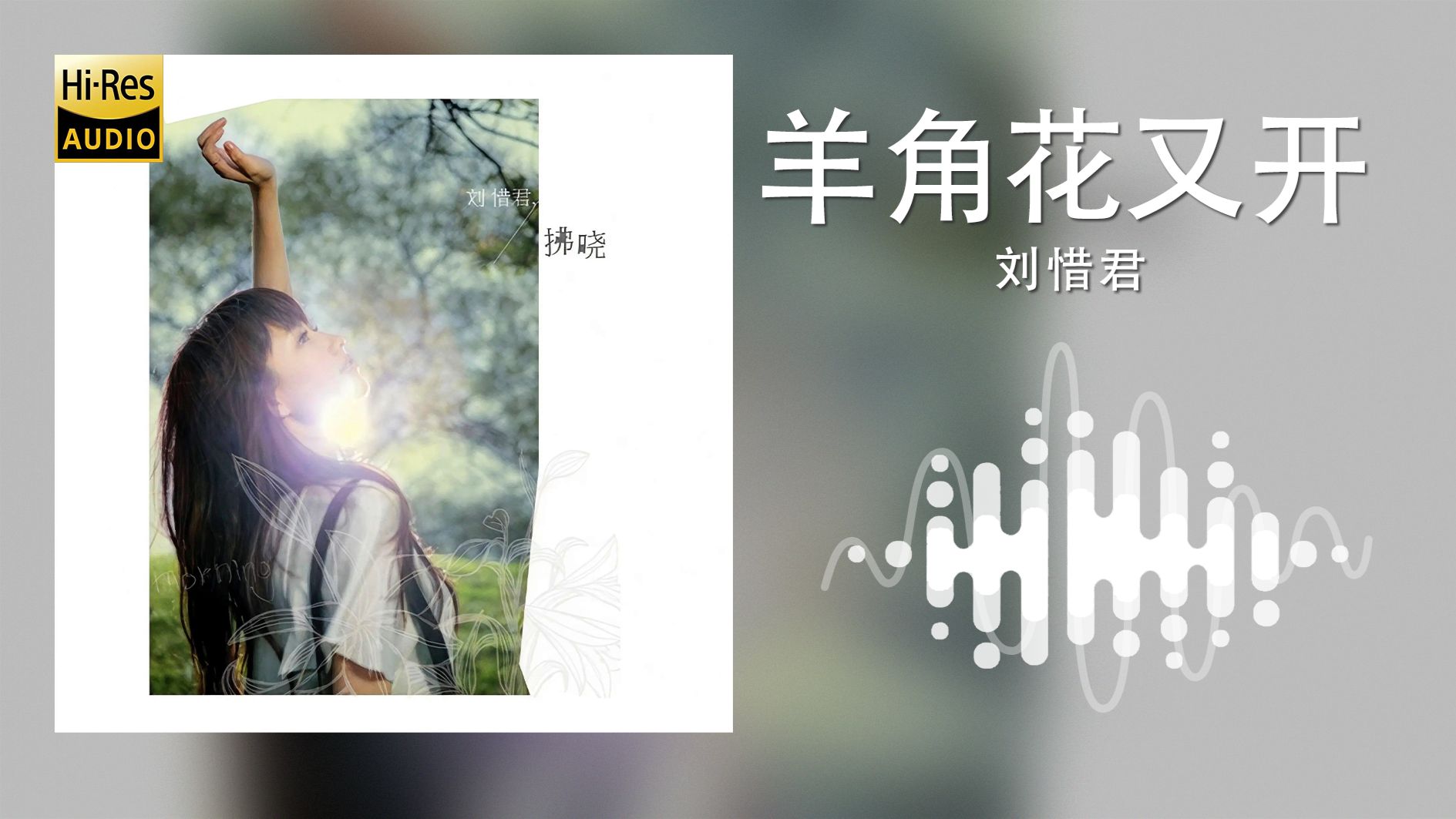 【??-???·无损】<羊角花又开>刘惜君-纯享版