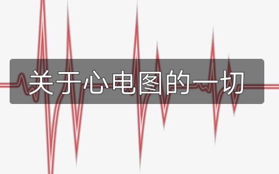 「心电图 」全解析哔哩哔哩bilibili