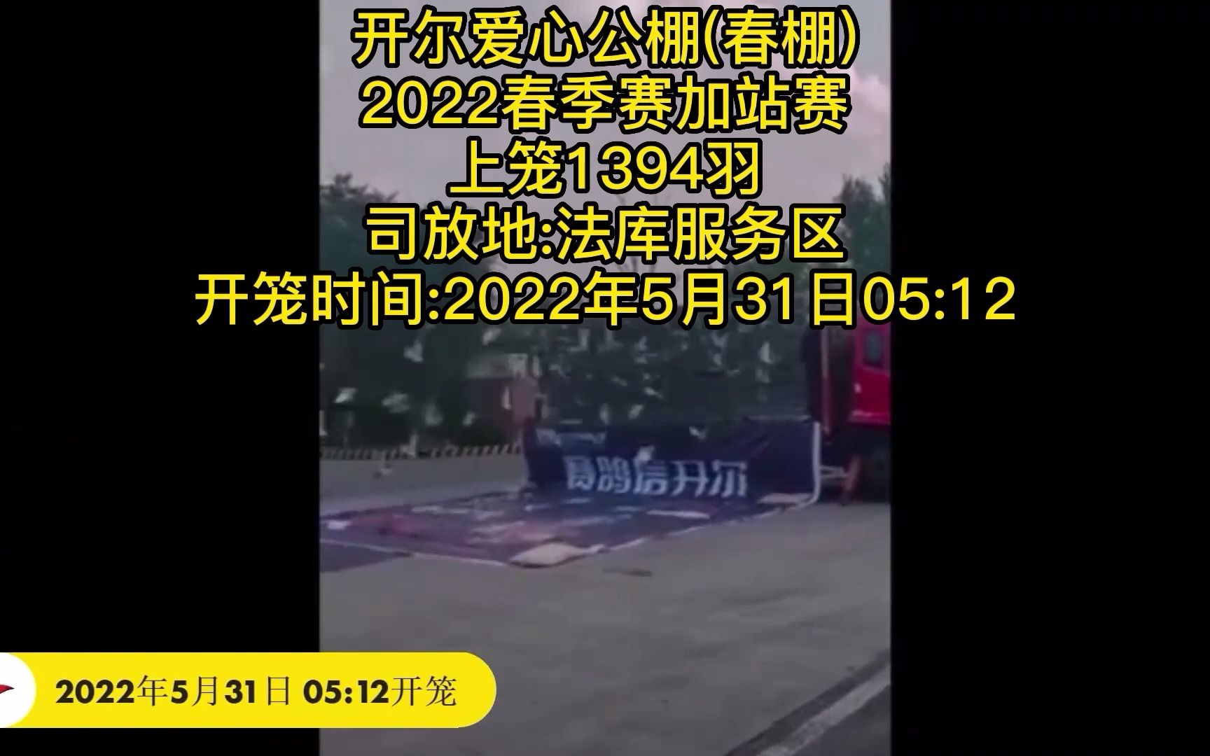 开尔爱心公棚(春棚)加站赛冠军鸽飞行轨迹哔哩哔哩bilibili