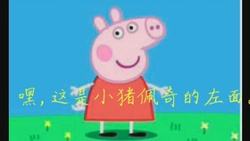 原来小猪佩奇正面长这个样子 打印出来我笑了半天 哔哩哔哩 つロ干杯 Bilibili