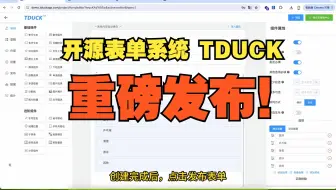 重磅发布！开源表单TDuckv5新版发布