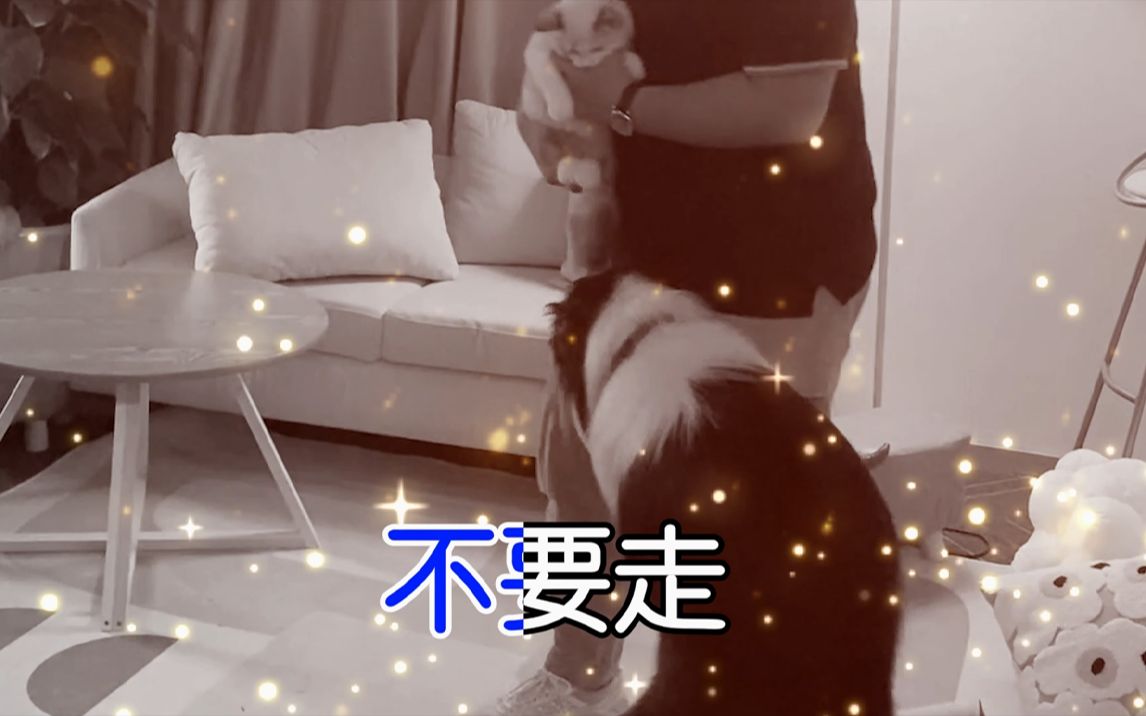 家危速回!被嫌弃的李奥的一生....哔哩哔哩bilibili