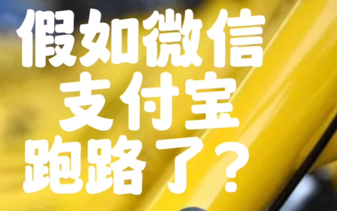 假如微信、支付宝跑路了?里面的钱咋办?存银行?买理财?还是...哔哩哔哩bilibili