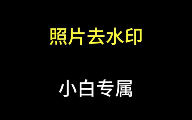 照片去水印,小白专属,一键搞定哔哩哔哩bilibili