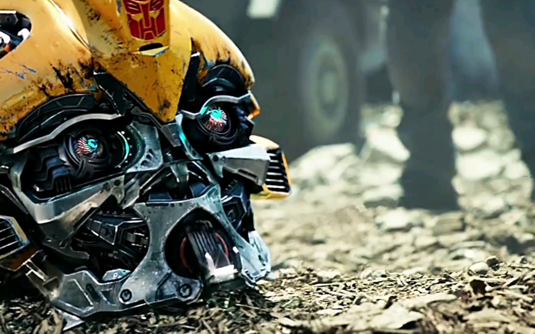 大黄蜂帅气护主 最后一个表情亮了