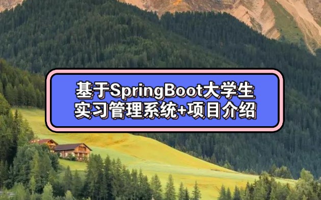 基于SpringBoot大学生实习管理系统+项目介绍哔哩哔哩bilibili