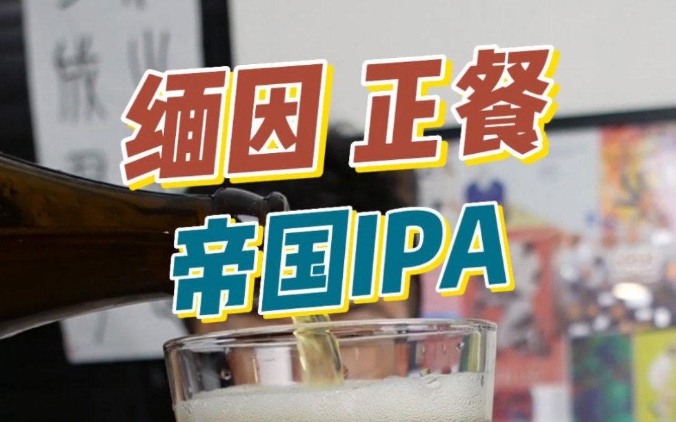 让人印象深刻的高分小众尖货IPA,缅因正餐.哔哩哔哩bilibili