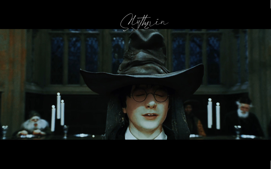 斯莱特林我们有波特了