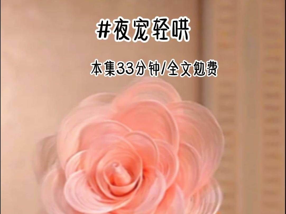 茗《夜宠轻哄》哔哩哔哩bilibili