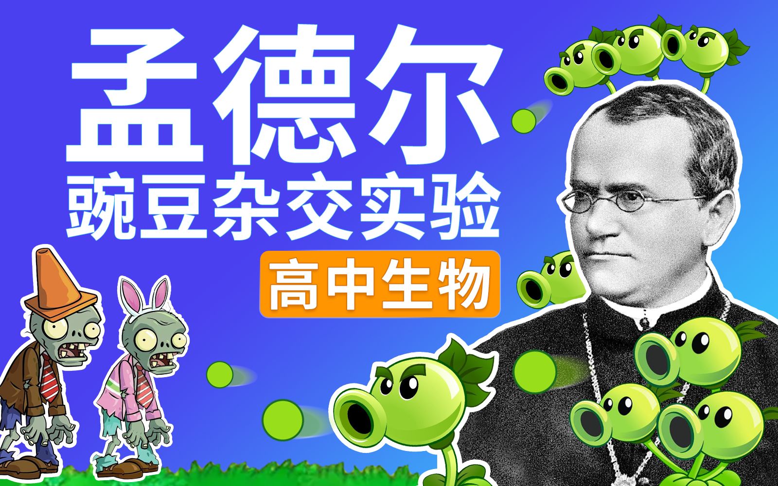 【孟德尔分离定律】豌豆杂交实验(上) 高中生物必修二哔哩哔哩bilibili