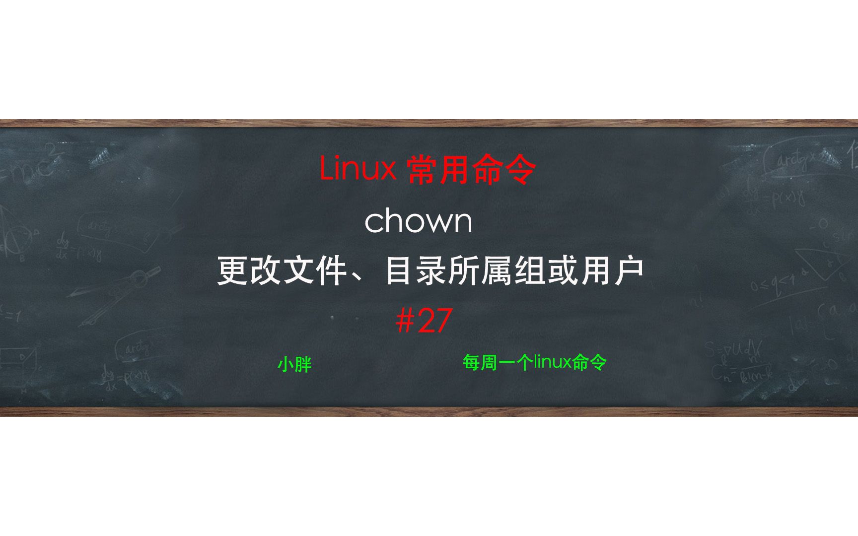 linux 通过chown修改文件或目录的所属组或者用户哔哩哔哩bilibili