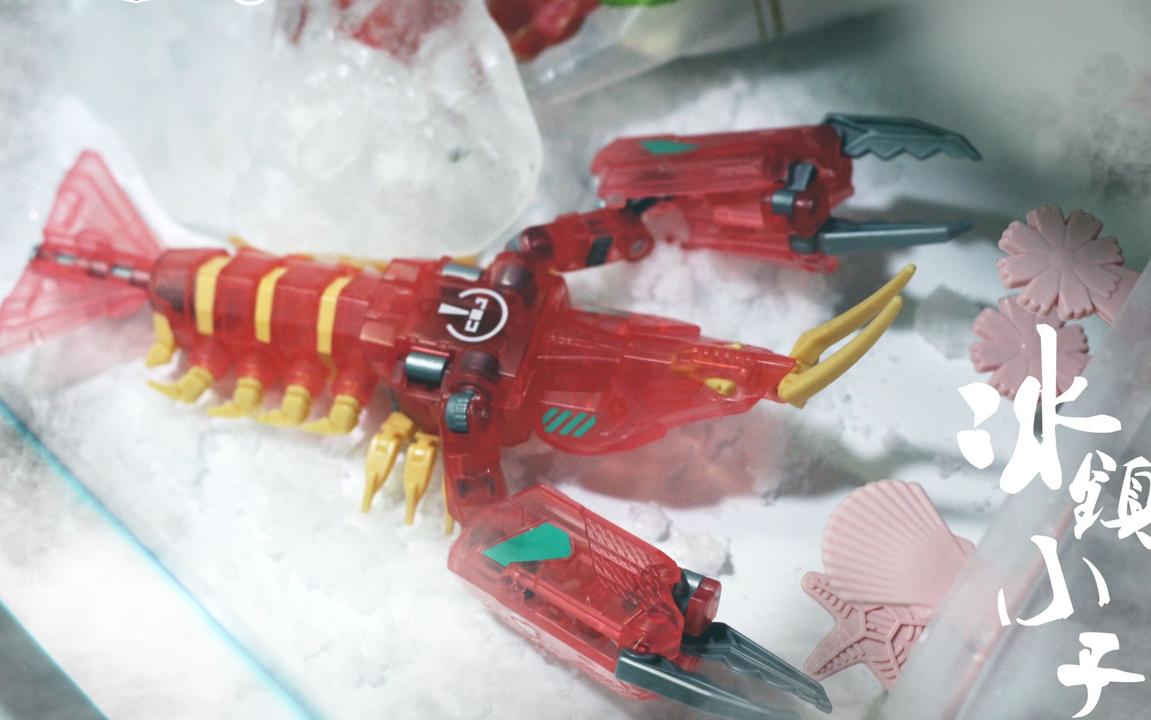 猛兽匣小龙虾来啦cj战利品分享和小龙虾评测