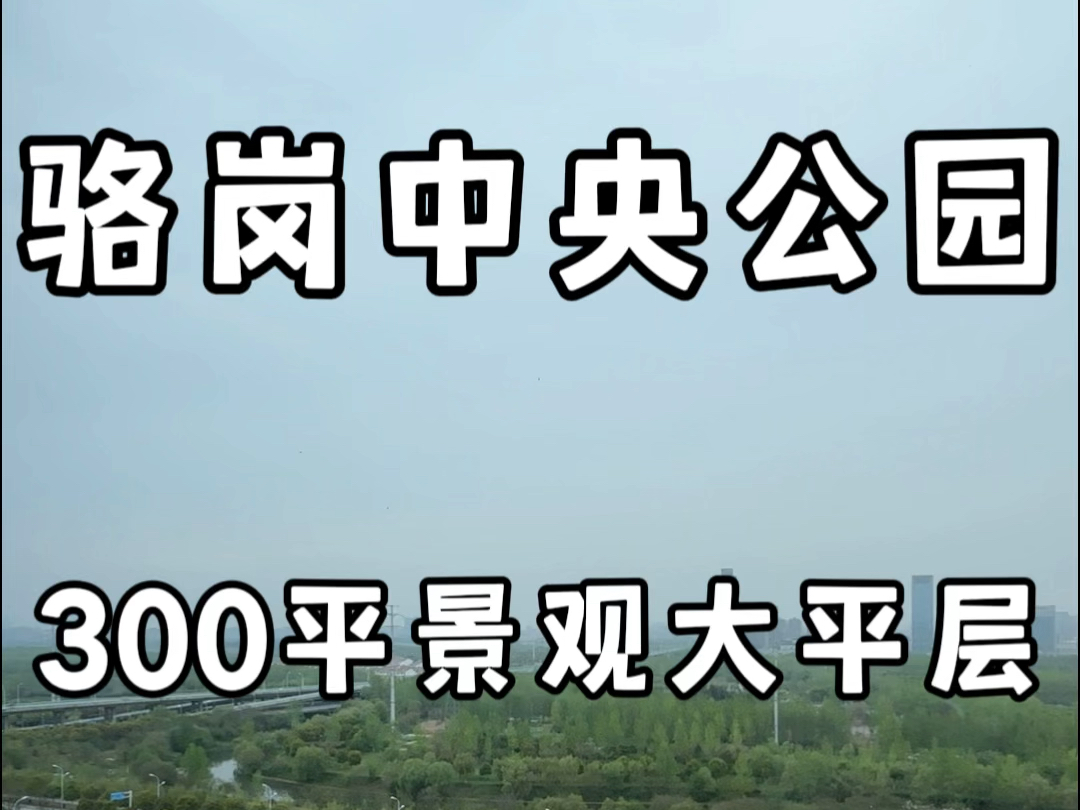 #合肥 骆岗中央公园斜对面300平景观大平层420万起#合肥大平层哔哩哔哩bilibili