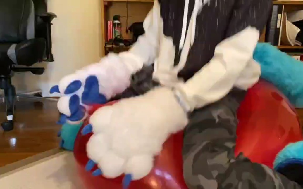 [图]Furry loves balloon2.