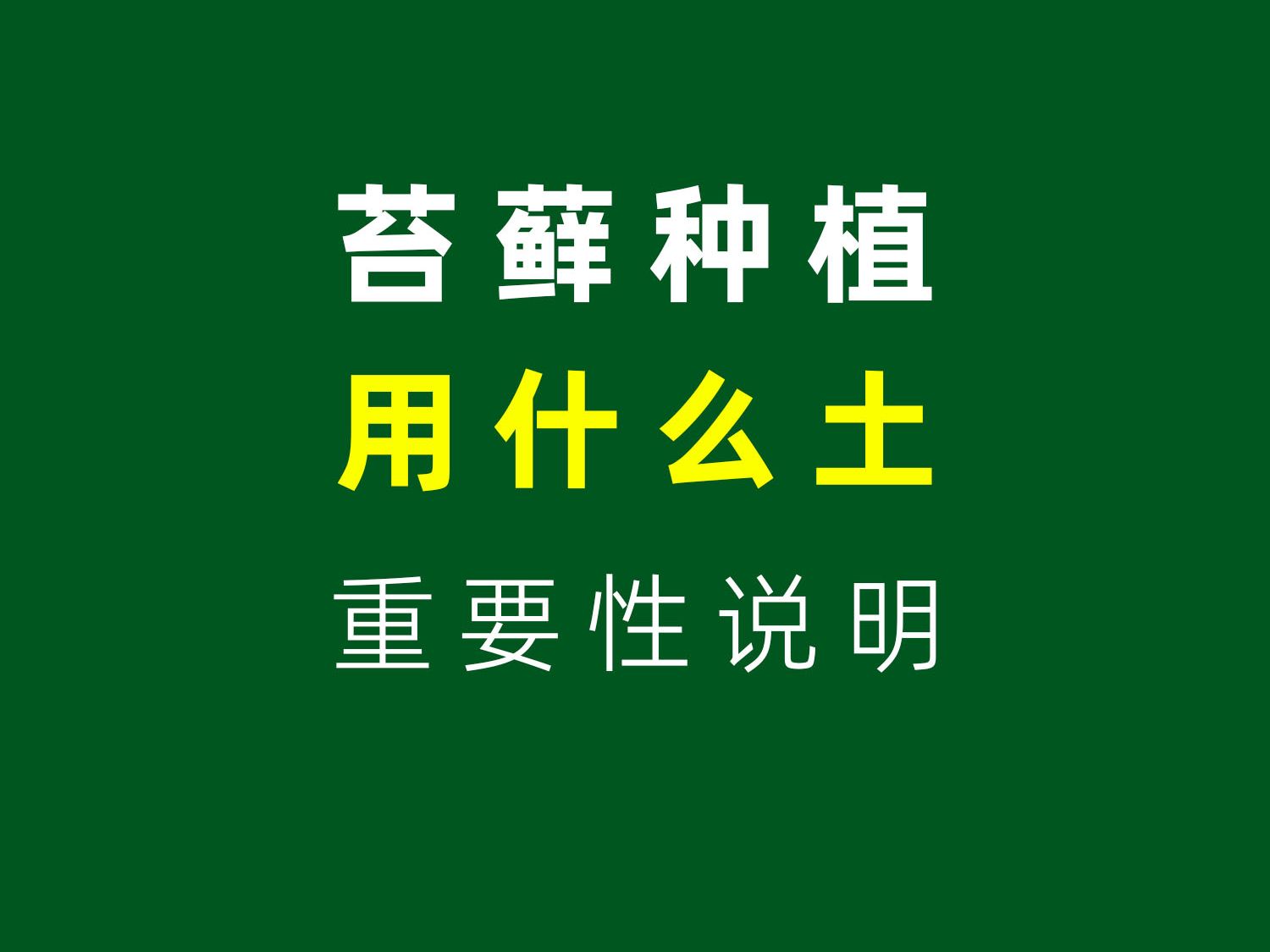 种植苔藓到底应该用什么土?哔哩哔哩bilibili