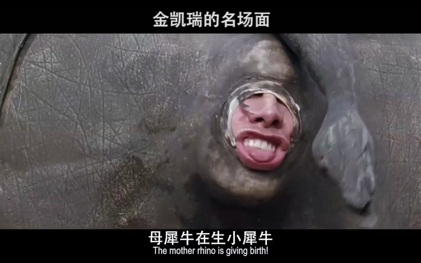 活动作品金凯瑞的名场面