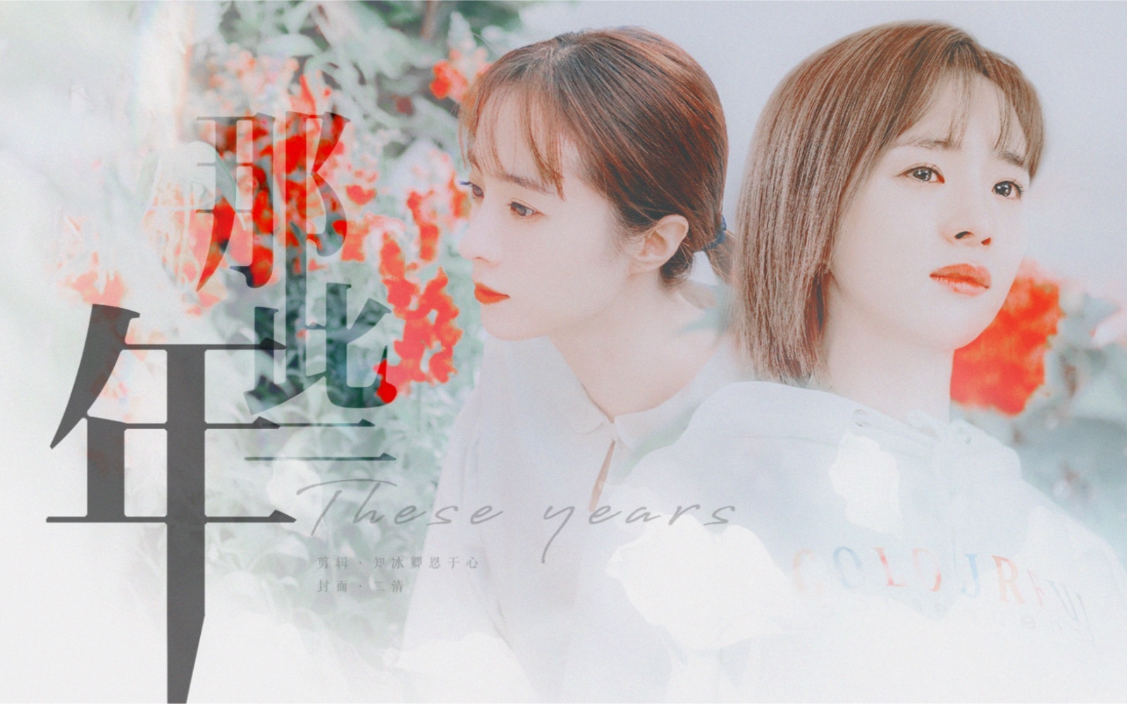 暗恋橘生淮南胡冰卿洛枳那些年个人向