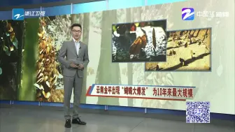 Tải video: 云南金平出现“蝴蝶大爆发”  为10年来最大规模