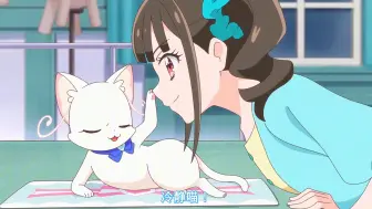 Tải video: 【简体】Wonderful光之美少女 第34话 猫 猫 猫集会！p13【雪飘】