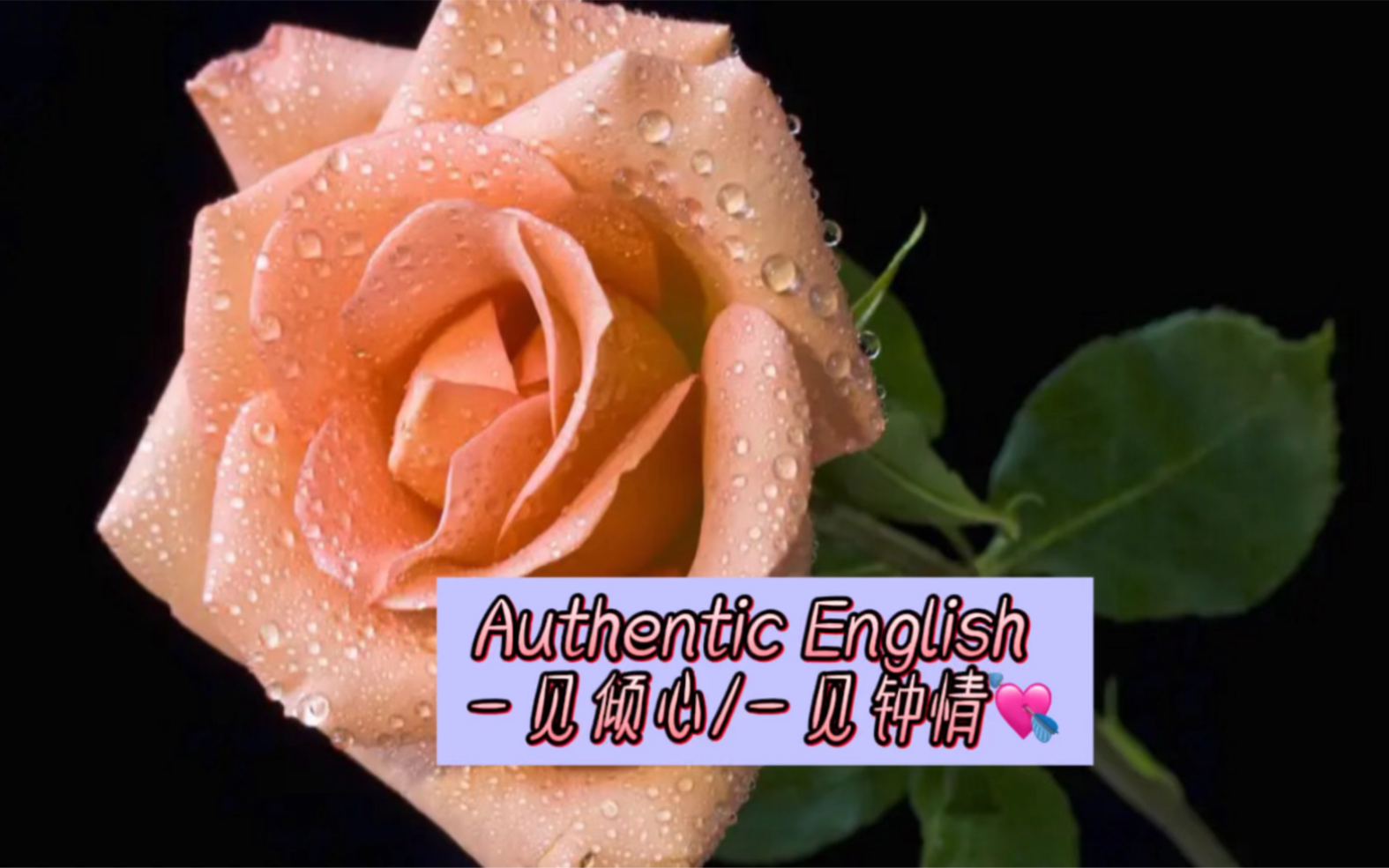 Authentic English一见倾心/一见钟情#英语#每日英语#实用英语#英语口语#口语练习#每天学习一点点#快乐学习哔哩哔哩bilibili