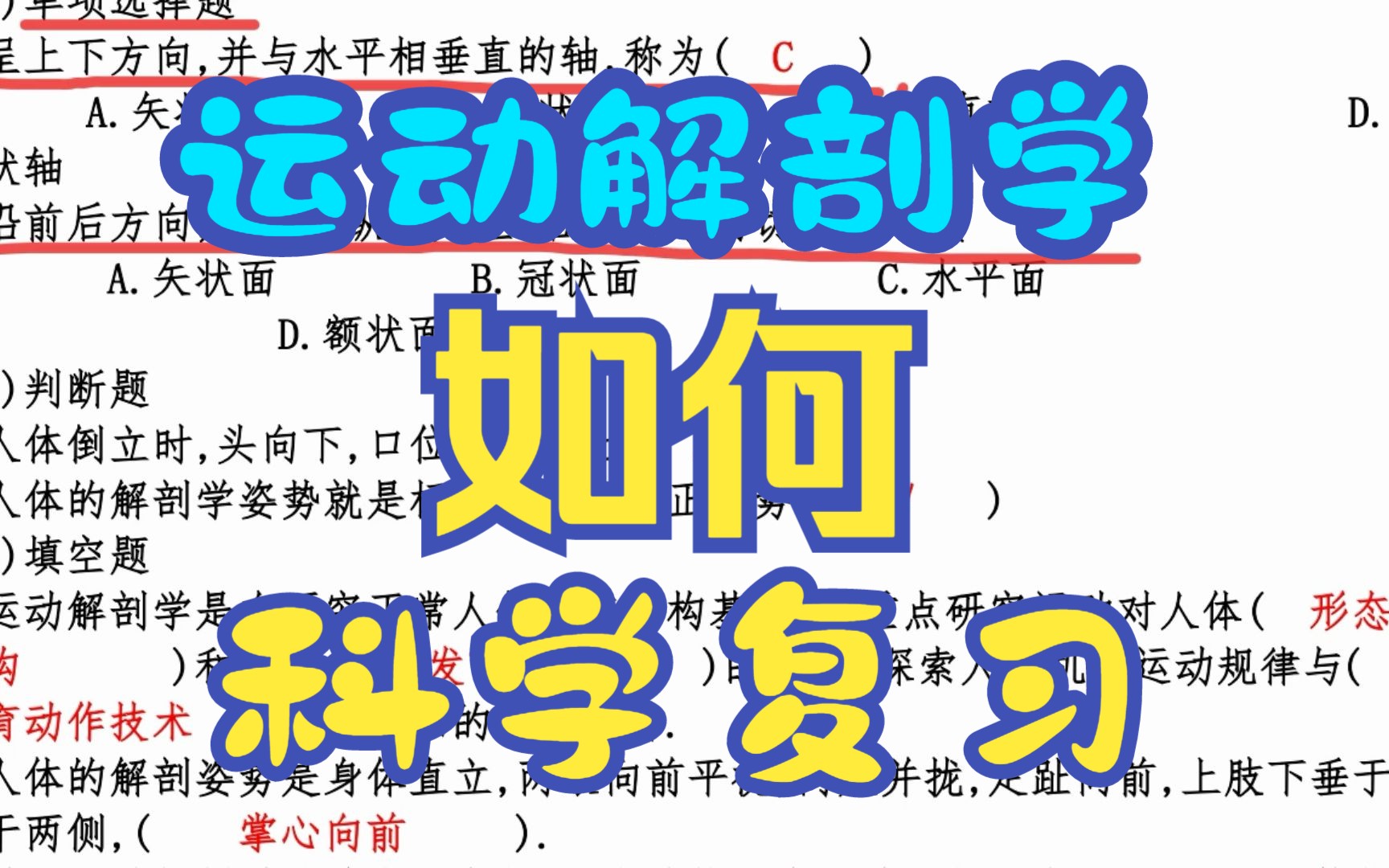 [图]《运动解剖学》复习资料 复习笔记+名词解释+期末复习+试题集+知识点总结