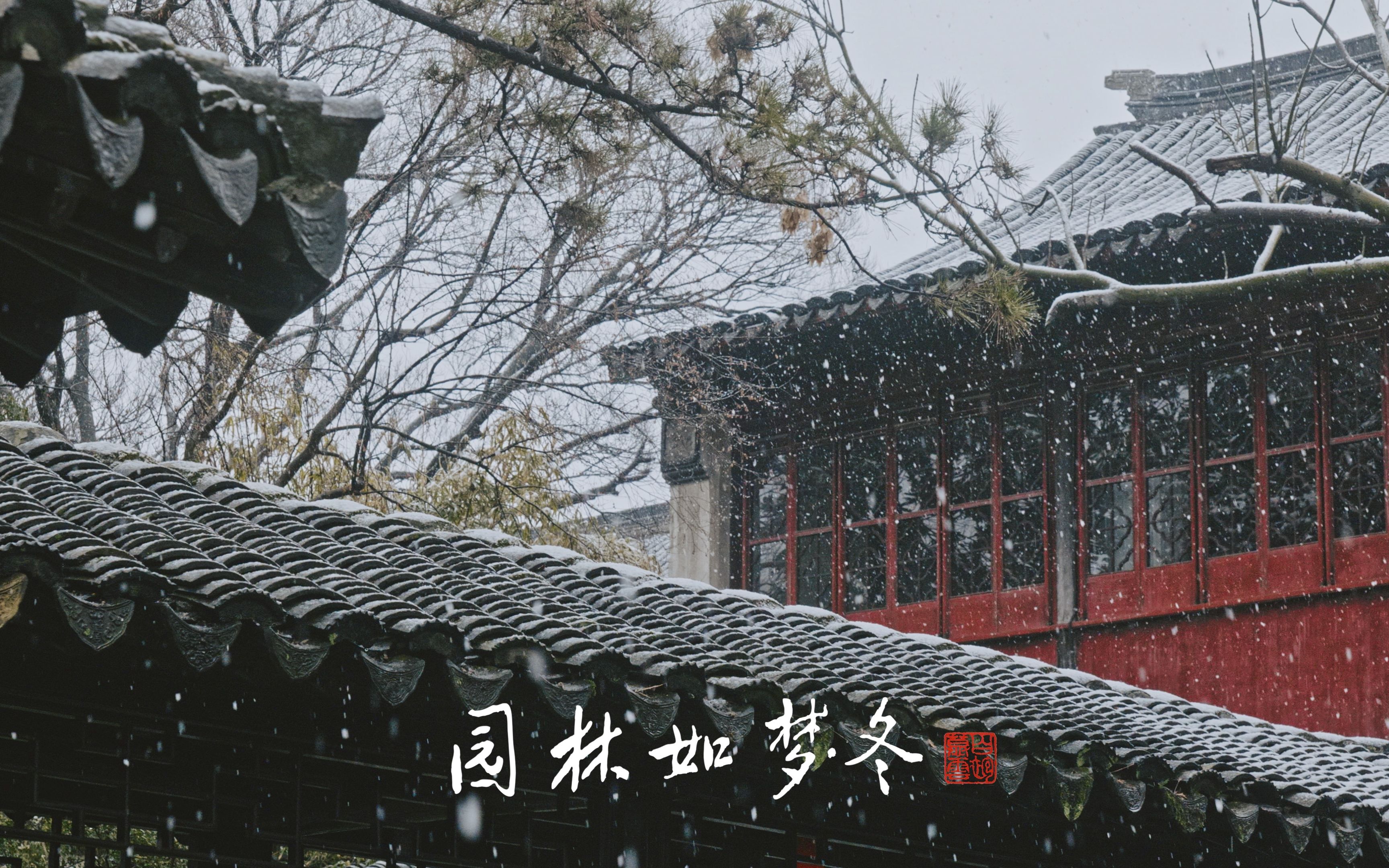 【园林如梦ⷮŠ冬】 苏州的雪真的到货了!在园林赏雪,多是一件美事啊!/ 拙政园哔哩哔哩bilibili