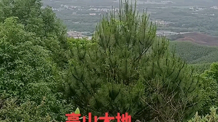 高山大地,黄家桉带徒弟验证赖公黄石公水法,江念泉一脉相传.哔哩哔哩bilibili