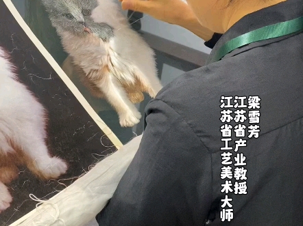 毛茸茸发着光的苏绣猫你们见过吗?哔哩哔哩bilibili