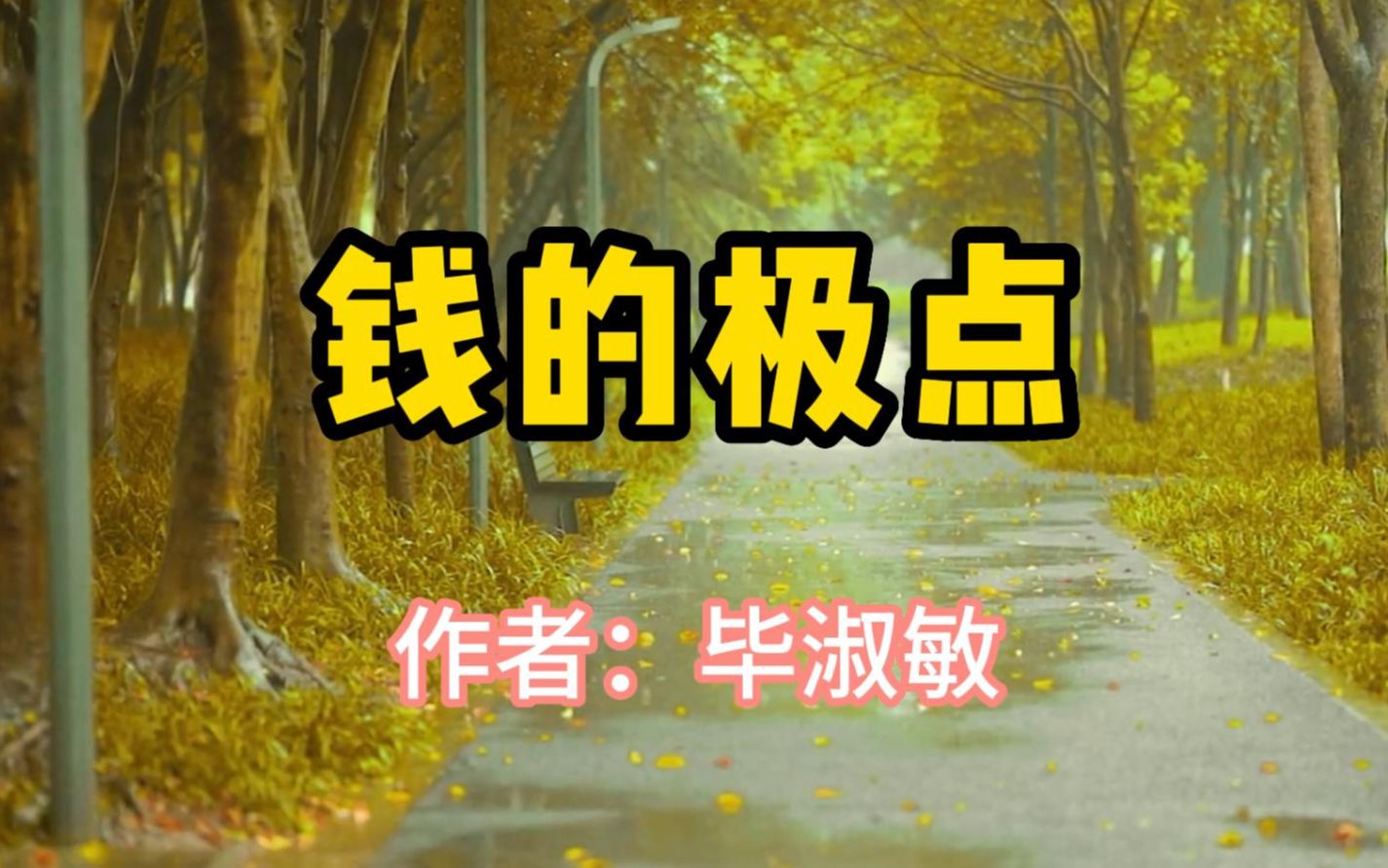 经典散文,《钱的极点》,作者毕淑敏哔哩哔哩bilibili