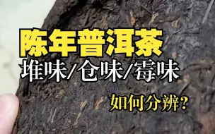 Download Video: 学茶 | 如何分辨普洱茶的堆味/仓味/霉味