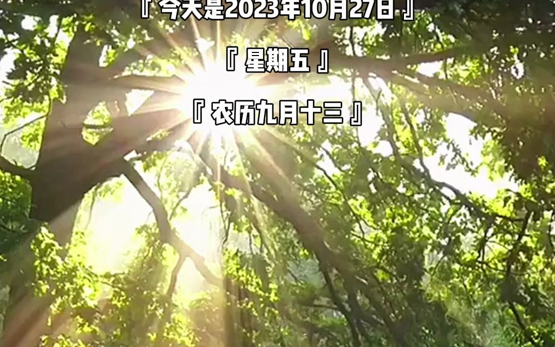 今天是2023年10月27日星期五 农历九月十三哔哩哔哩bilibili