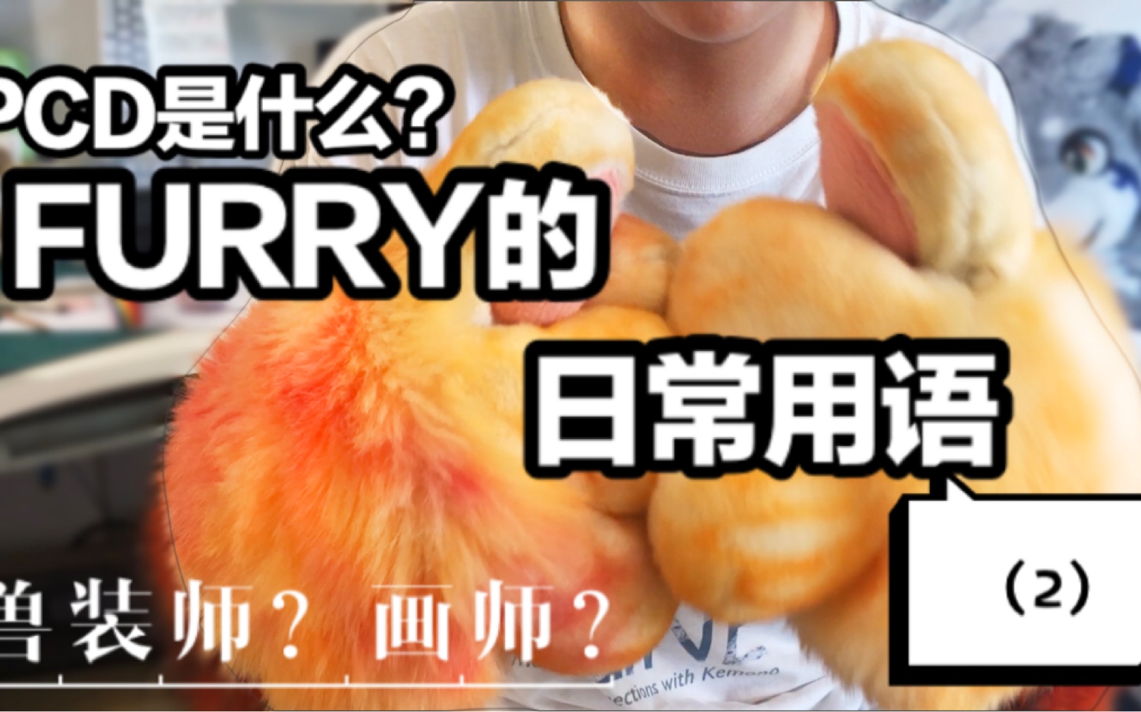 FURRY的日常用语(2)哔哩哔哩bilibili