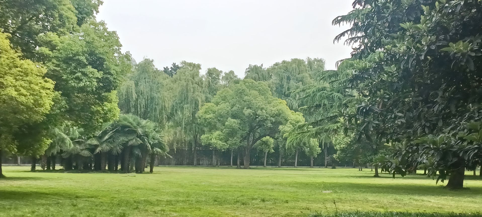 [图]准大三的我决定退学了，因为挂科太多被一起生活两年的室友孤立。当初寝室里第一个报道的，却是最后一个离开，那就给他们留下一个干净的寝室，有缘再见。